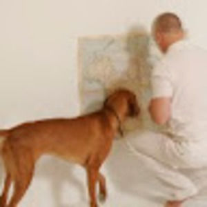 Meet your Posher, Stuart